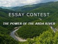 Еssay Contest 